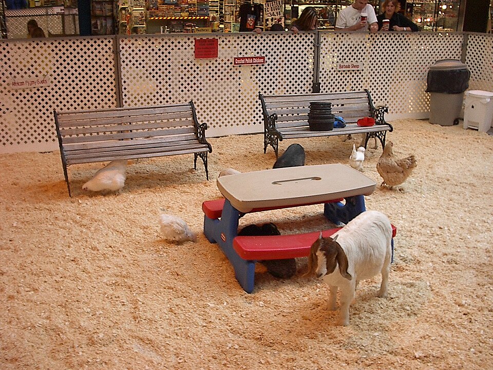 Dierenweide Abstede