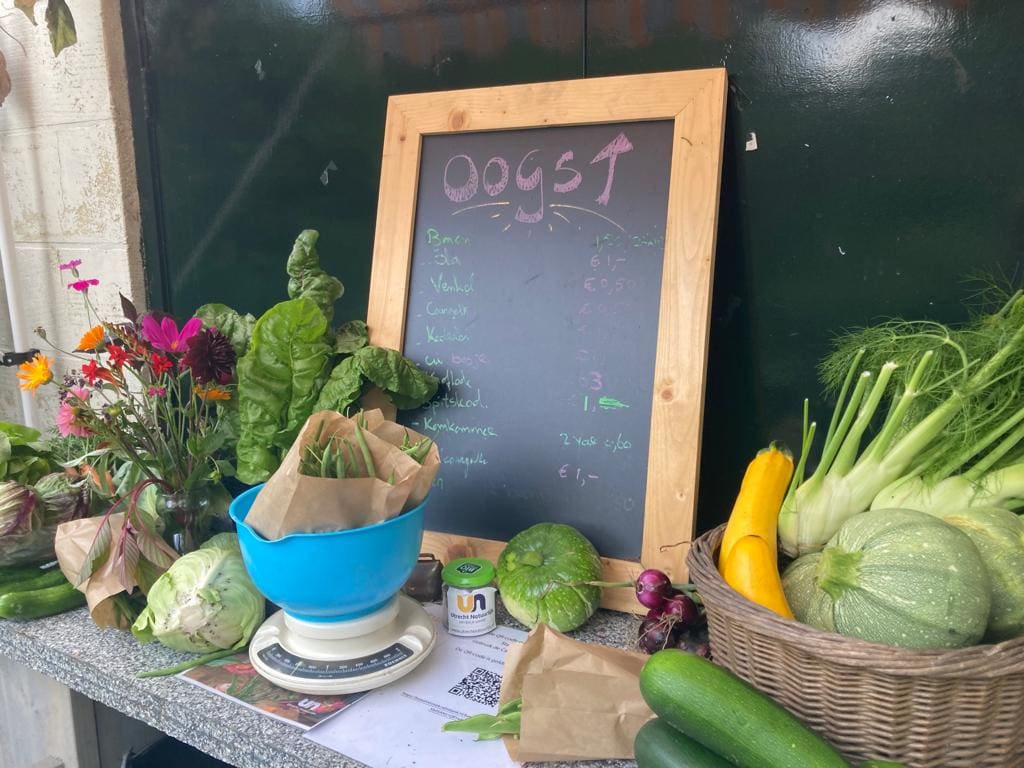 Bloemen plukken en verse groenten
