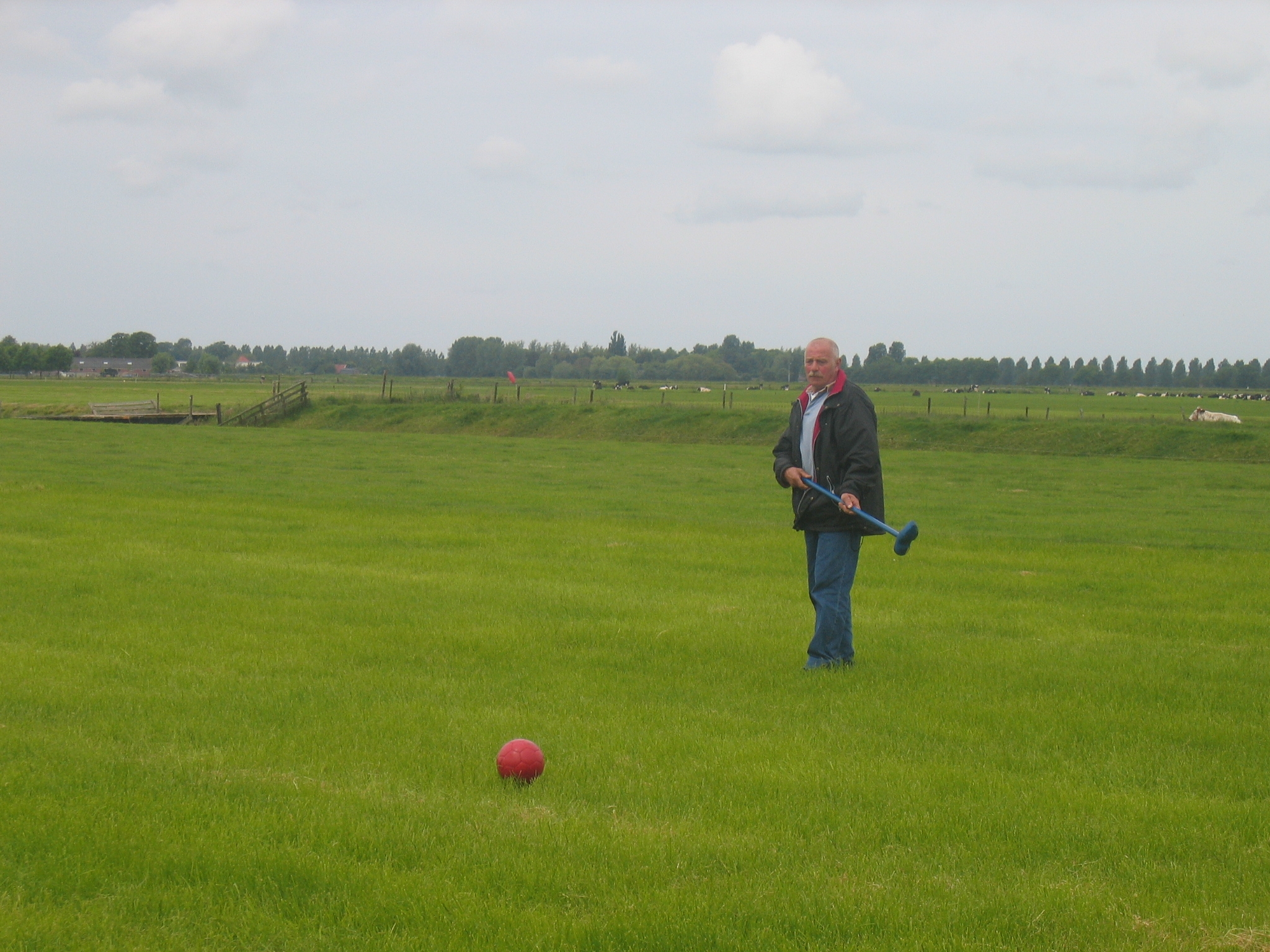 Klompen-voetgolf bij boer hans in montfoort